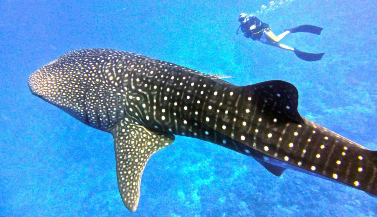Vakarufalhi Maldives Dhangethi Luaran gambar