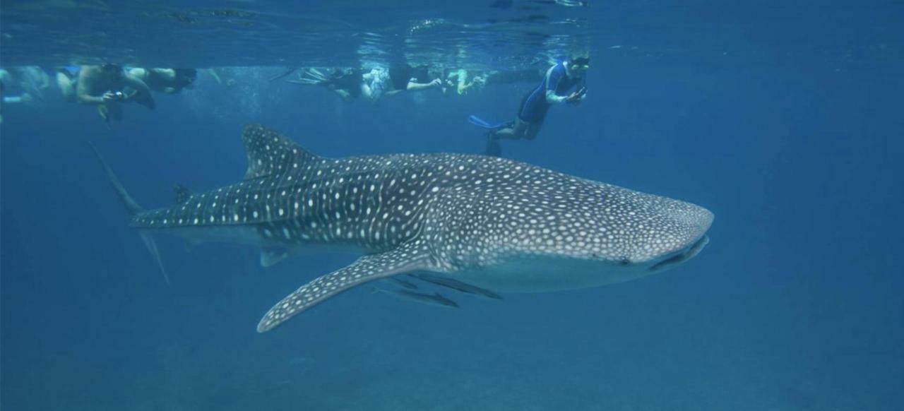 Vakarufalhi Maldives Dhangethi Luaran gambar