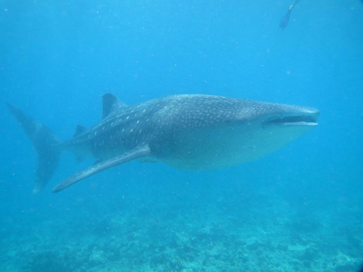 Vakarufalhi Maldives Dhangethi Luaran gambar